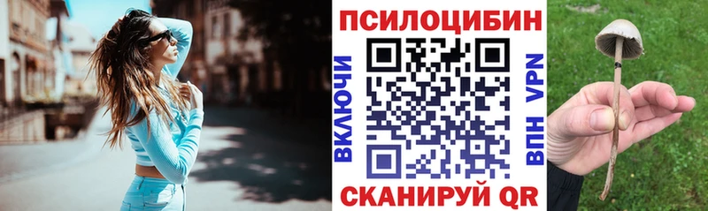 Псилоцибиновые грибы Psilocybe  купить наркоту  Нахабино 